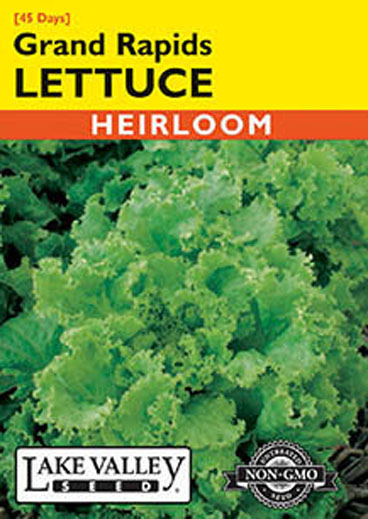 LETTUCE GRND RAPIDS
