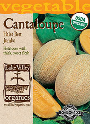 ORGANIC CANTALOUPE HALES BEST JU