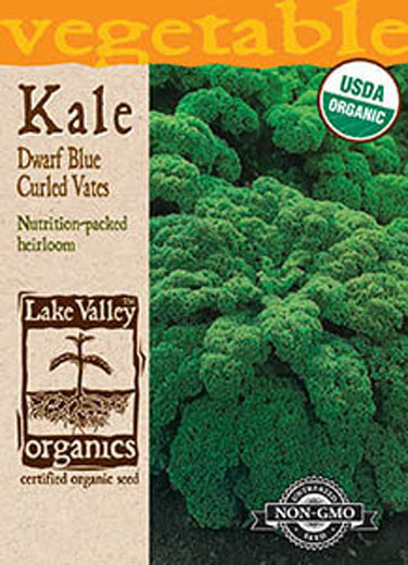 ORGANIC KALE DWARF BLUE CURLES V