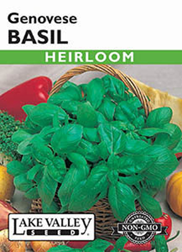 BASIL GENEVESE, HEIRLOOM