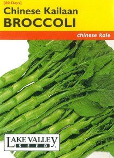 BROCCOLI CHINESE KAILAAN
