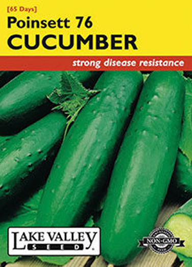 CUCUMBER POINSETT 76