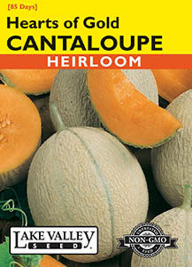 CANTALOUPE HEARTS OF GOLD