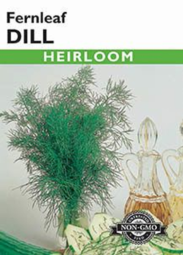 DILL FERNLEAF