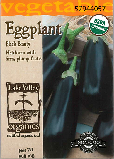 ORGANIC EGGPLANT BLACK BEUTY