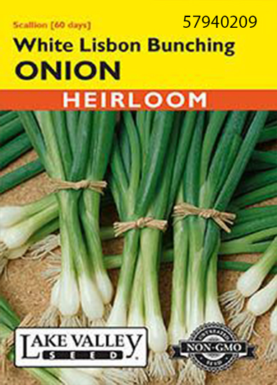 ONION WHT LISBON BUNCHING