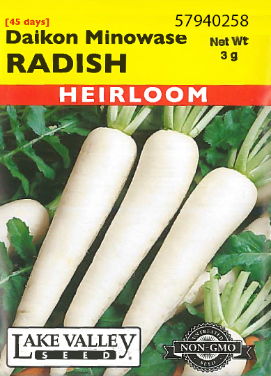 RADISH MINOWASE DAIKON