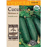ORGANIC VEGE SEED - CUCUMBER