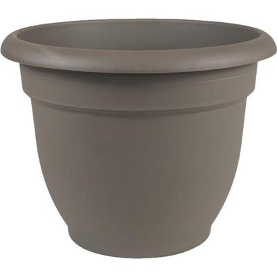 12" ARIANA COAL PLANTER