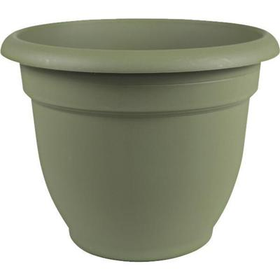 10" ARIANA LVGRN PLANTER